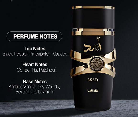 Asad Eau De Parfum | Long Lasting Oriental Spicy Woody Luxury Fragrance for Men - Image 3